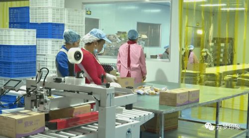 云夢(mèng)經(jīng)濟(jì)開發(fā)區(qū) 以完善服務(wù)體系為抓手，實(shí)現(xiàn)政企雙贏的信息系統(tǒng)運(yùn)行維護(hù)新篇章